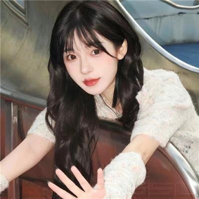 主妇侦探社